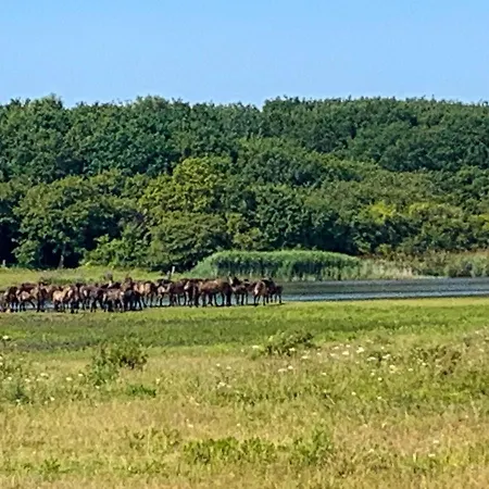 6 Person In Bagenkop-by Traum Διαμέρισμα