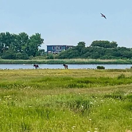 6 Person In Bagenkop-by Traum