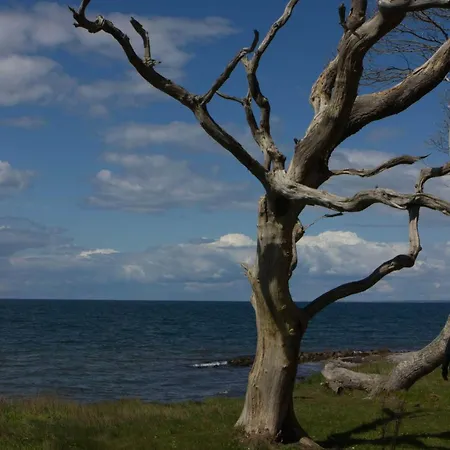 6 Person In Bagenkop-by Traum Apartment